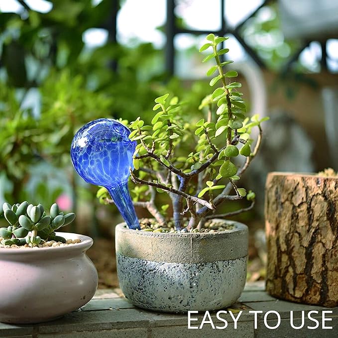 2 Large 3 Small Glass Plant Watering Globes - Plant Watering Devices - Plant Watering Bulbs - Self Watering Spikes - Self Watering Planter Insert - Free Moisture Meter Cotswold Homeware