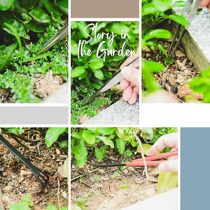 15-Piece Bonsai Tree Kit, Bonsai Tool Set, Bonsai Starter Kit, Carbon Steel Scissors, Cutter Shears, Rake with Spatula, Perfect Gardening Trimming Pruning Tools