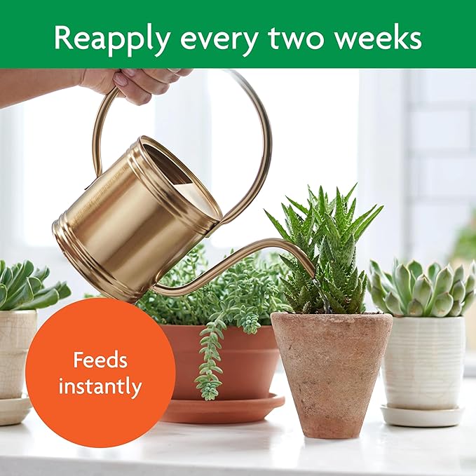 Miracle-Gro Succulent Plant Food, 8 oz., For Succulents including Cacti, Jade, And Aloe