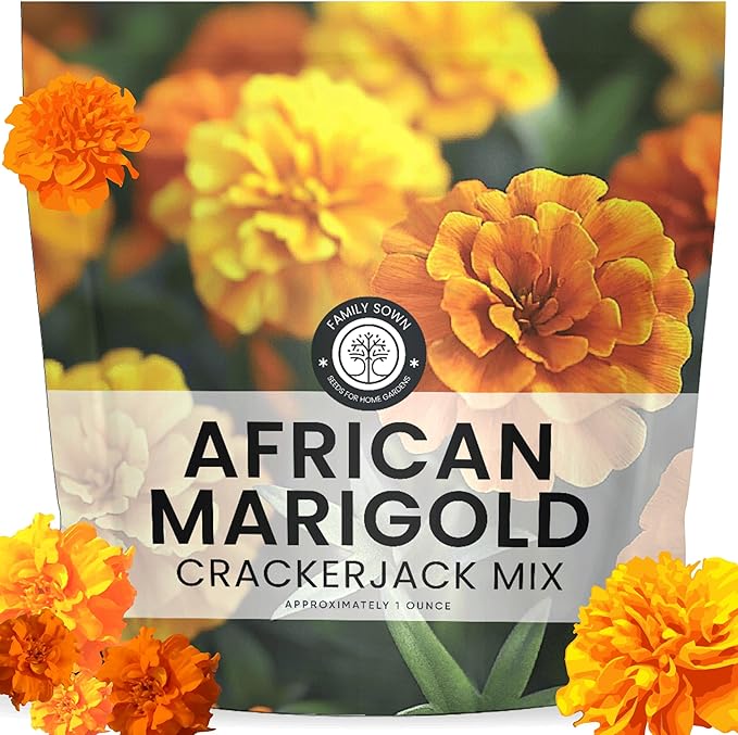 African Marigold Crackerjack - Large 1 Ounce Packet - 10,000 Flower Seeds for Planting - Tagetes erecta