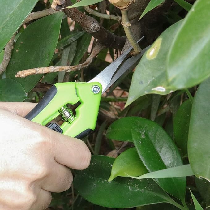 8 Pack 6.5 Inch Gardening Scissor Hand Pruner, Precision Tip Pruner with Straight Stainless Steel Blades, Pruning Shears Hand Pruners for Gardening Plant Flower Bonsai, Green