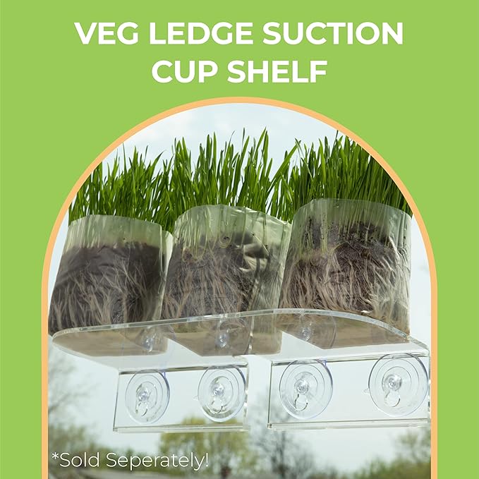 Premium Window Garden Potting Soil (Fiber Soil 10x - 1 QT Bags) for Indoor Plants, Home Garden