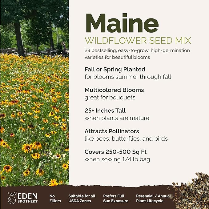 Eden Brothers Maine Wildflower Mixed Seeds for Planting, 1/4 lb, 120,000+ Seeds with Lupine, Cornflower | Attracts Pollinators, Plant in Spring or Fall, Zones