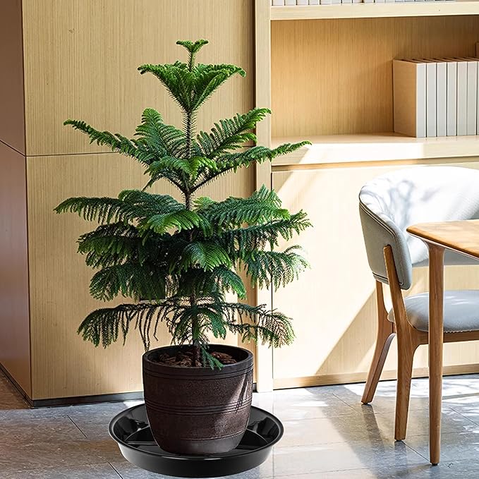 2 Pack Plant Saucer Drip Tray 12 inch, Heavy Sturdy Plastic Planter Flower Pot Saucers for Indoor Outdoor Garden, Plant Water Drip Trays for pots (12" 2Pack, Black)