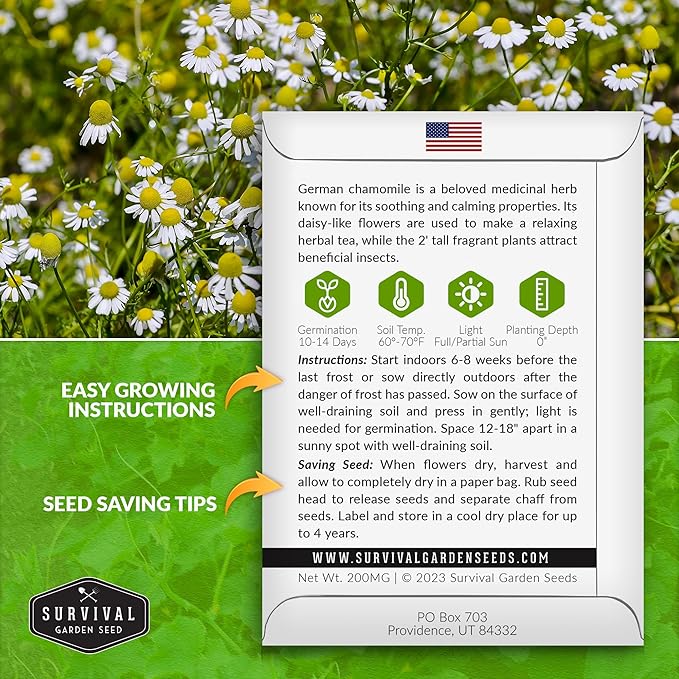 German Chamomile Seeds for Planting - 2 Packets with Instructions to Plant and Grow Matricaria chamomilla in Your Home Herb Garden - Non-GMO Heirloom Variety - Survival Garden Seeds