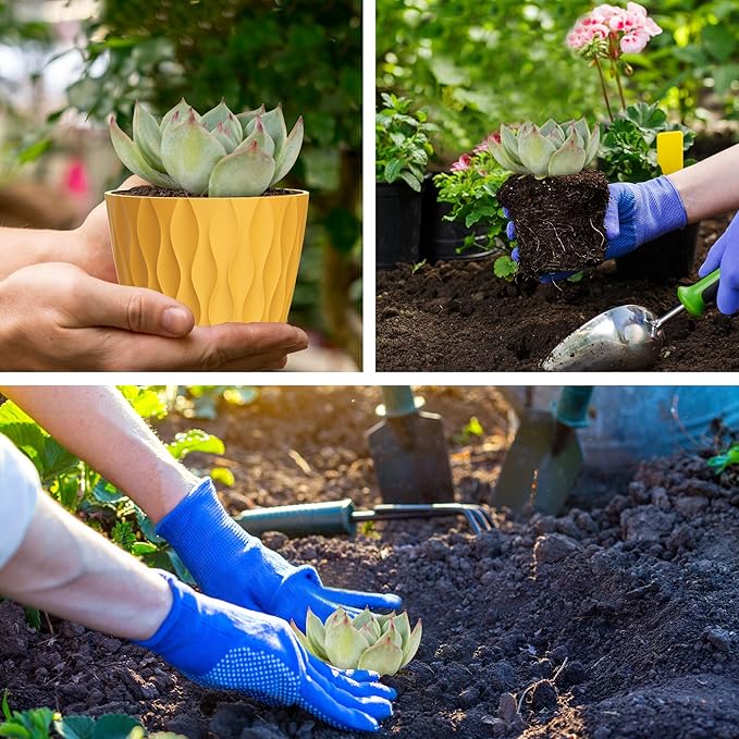 6 Pack 4 Inch Small Plant Pots with Saucers, 3D Textured Plastic Planters with Drainage Holes for Indoor and Outdoor Plants, Flowers, Herbs, Succulents, and Seedlings, Colorful