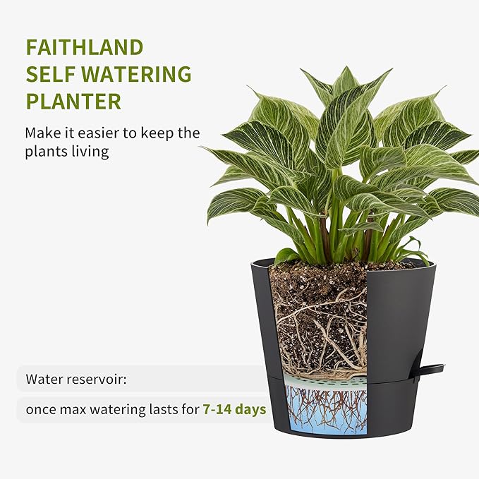 FaithLand 2-Pack 10 Inch Planter Pots for Indoor Outdoor Plants, Self Watering Flower Pots with Deep Reservoir, Black with Terracotta …