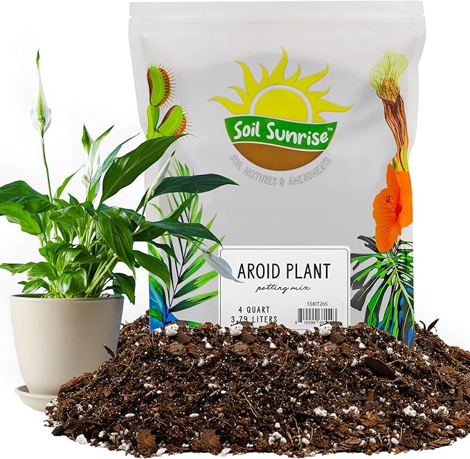 Aroid Plant Potting Soil Mix (4 Quarts), for Pothos Devil's Ivy, ZZ Plant, Chinese Evergreen, Dumb Cane, Philodendron, Syngonium, Alocasia, Colocasia Etc.