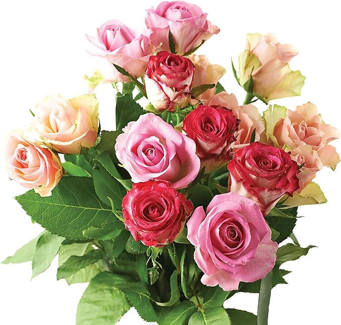 Jobe's Organics Granular Rose Fertilizer, Organic Plant Fertilizer for Rose, Hydrangea, Hibiscus, Azalea, and Other Flowering Shrubs, 16 lbs Bag