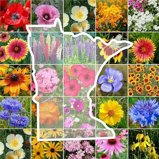 Eden Brothers Minnesota Wildflower Mixed Seeds for Planting, 1/4 lb, 120,000+ Seeds with Cornflower, Blanket Flower | Attracts Pollinators, Plant in Spring or Fall, Zones
