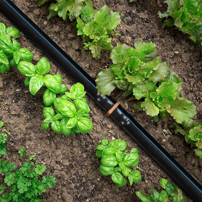 35 Pieces Drip Irrigation Coupling Fittings, 1/2'' Drip Line Barbed Coupler Connectors for 1/2 Inch, 5/8", .700" Irrigation Tubing 2-Way Straight Coupling for Garden Drip Sprinkler Systems