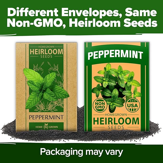 HOME GROWN Peppermint Seeds 2 Pack (Mentha × piperita) – 4,740 Non-GMO, Heirloom Mint Seeds for Planting. Grow Peppermint Plants in Your Kitchen Garden or Plant Them Outdoors for a Lush Herb Garden.