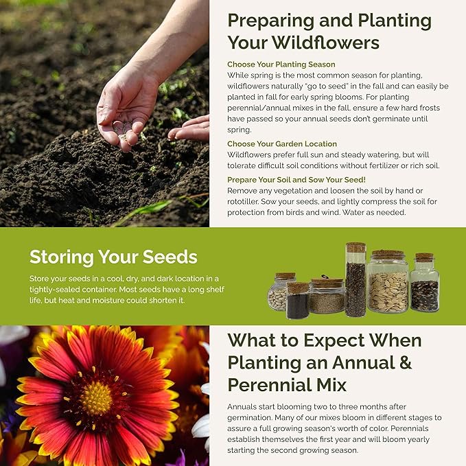 Eden Brothers Alaska Wildflower Mixed Seeds for Planting, 1 oz, 30,000+ Seeds with Yarrow, Foxglove, Cornflower | Attracts Pollinators, Plant in Spring or Fall, Zones