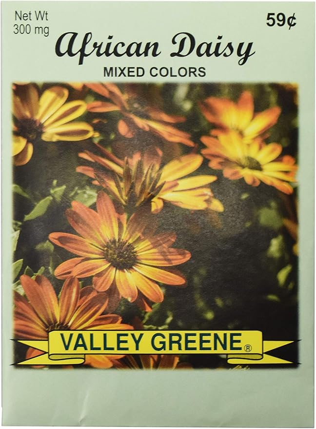 Black Duck Brand Set of 25 African Daisy Flower Seed Packets! Flower Seeds in Bulk - Great for Creating The Garden of Your Dreams! (25, African Daisy)