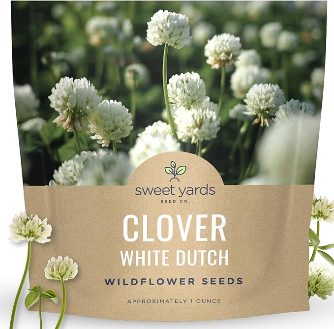 White Dutch Clover - Large 1 Ounce Packet - 40,000 Flower Seeds for Planting - Trifolium repens