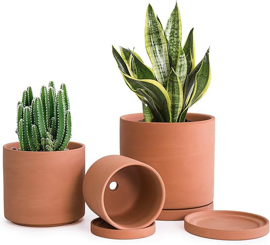 D'vine Dev Terracotta Pots for Plants, 4.2 Inch 5.3 Inch 6.5 Inch, Succulent Planter Pot with Drainage and Saucer, 40-T-A-0