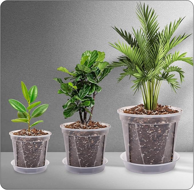 CEWOR 12pcs 4/5/6 Inch Clear Nursery Pots with Saucer, Transparent Plastic Plant Pots with Drainage Hole for House Plants, Flower, Succulent and Outdoor Clearance