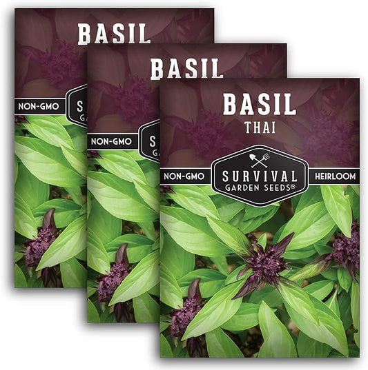 Survival Garden Seeds - 3 Pack Thai Basil Seed for Planting - Seed Packet with Instructions to Plant & Grow Asian Basil Indoors or Outdoors in Your Home Vegetable Garden - Non-GMO Heirloom Variety