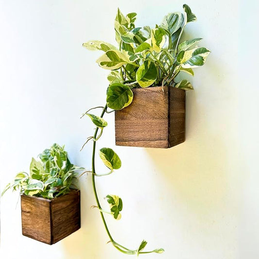 LaLaGreen Wood Planter Box for Plants (2 Pack, 4x4 Inch) Small Square Wall Planters for Indoor Plant, Window Hanging Flower Pot Wooden Boxes for Table Centerpiece Herb Balcony Home Garden Office Decor