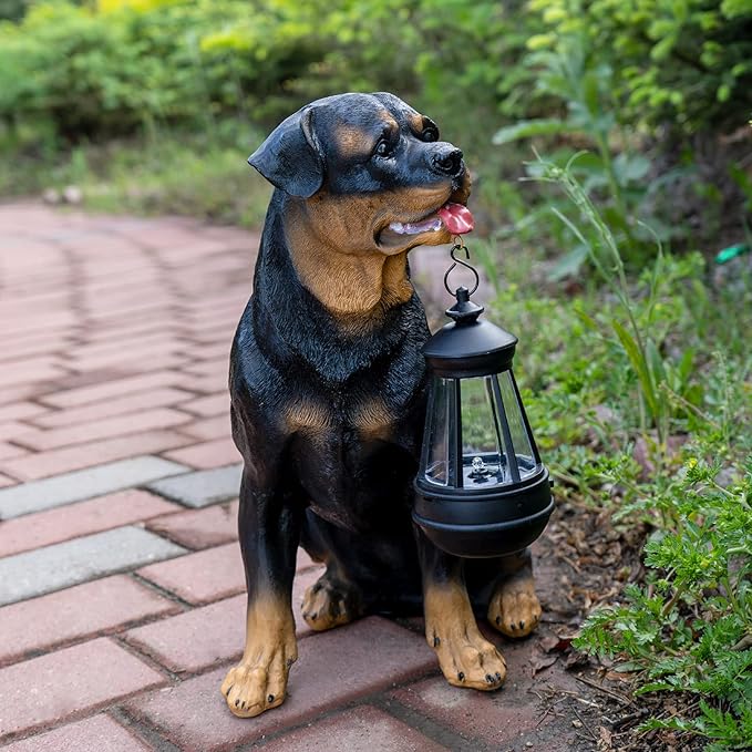 Notakia Resin Dog Rottweiler Statues and Sculptures with Solar Led Home Garden Decoration Windproof Lamp Outdoor Lighting Decor (Rottweiler &LED)