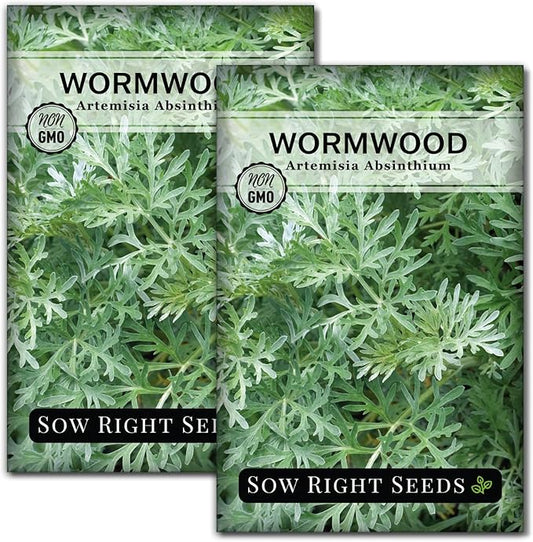 Sow Right Seeds - Wormwood Seeds for Planting - Non-GMO Heirloom Packet with Instructions to Plant & Grow an Outdoor or Indoor Herb Garden - Sagewort Repels Mosquitoes - Medicinal Worm Wood Herb (2)