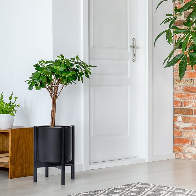 D'vine Dev Planter Pot with Stand - 10 Inch Plastic Cylinder Flower Pot with Wood Planter Holder for Indoor, Matte Black Pot + Ebony Stand, 55-C-N-2