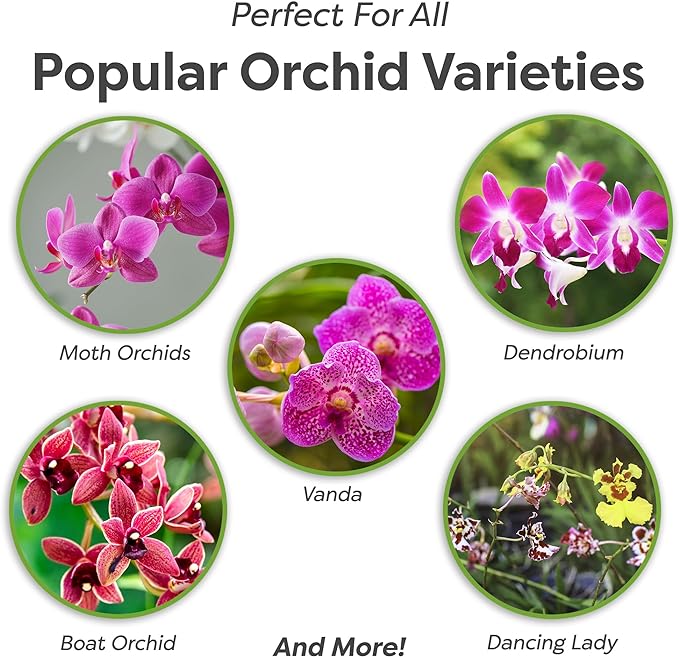 All Natural Orchid Potting Mix 4qts. by Perfect Plants | Hand Mixed in Small Batches | Great for Phalaenopsis of All Kinds