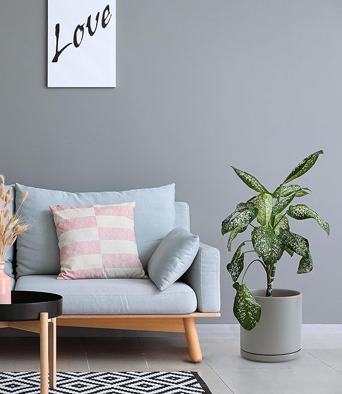 D'vine Dev Set of 2 Plants Pots, 10 Inch Ceramic Planter Pot for Plants with Drainage Hole and Saucer, Speckled Grey, 94-V-E-3