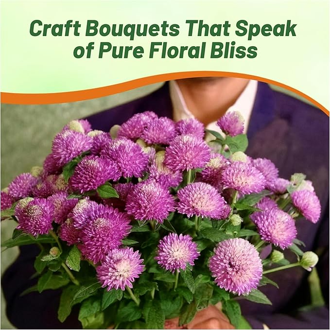 Outsidepride 1000 Seeds Annual Rose Gomphrena Globosa Flower Seed for Planting