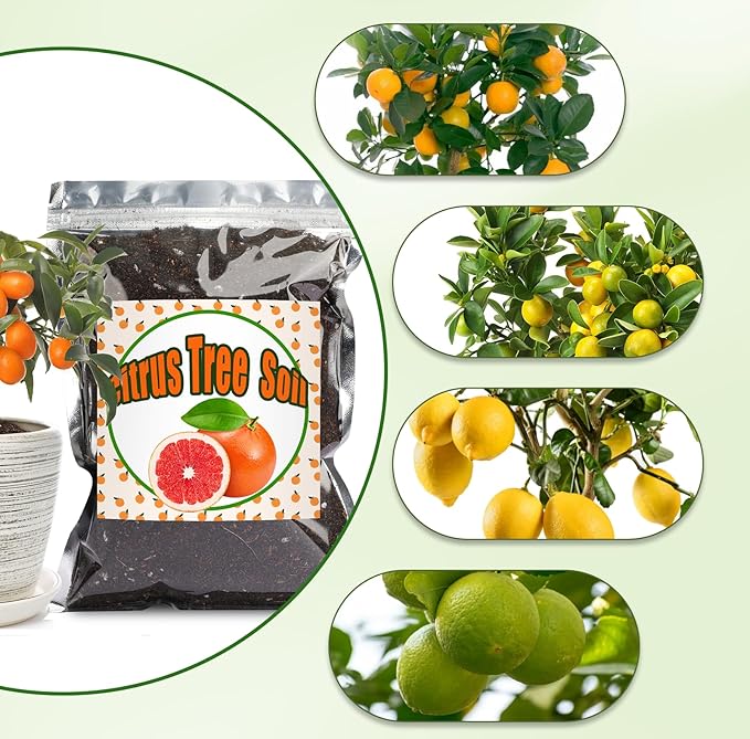 Citrus Tree Potting Soil Mix, Organic Loamy Potting Soil for Potted Lemon or Lime Tree, Special Blend for Indoor Oranges, Lemons, Limes and More