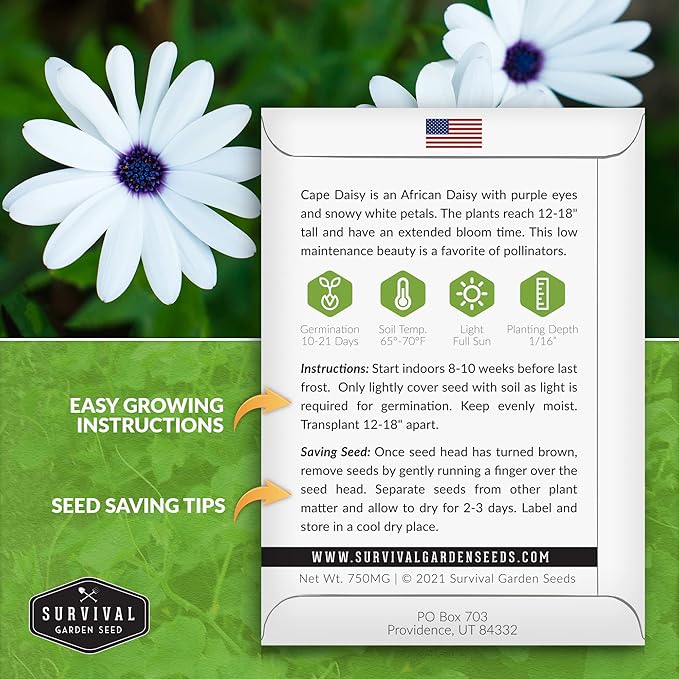2 Packs Cape Daisy Seed for Planting - Packet with Instructions to Grow Beautiful White & Purple Osteospermum in Your Home Flower Garden - Non-GMO Heirloom Variety - Survival Garden Seeds