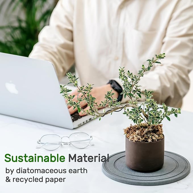 Diatomaceous Earth Plant Saucer for Indoor, 2 Pack 8 inch, Instant Dry Pot Saucer, Plant Drip & Drainage Tray for Indoor, Stone Gray