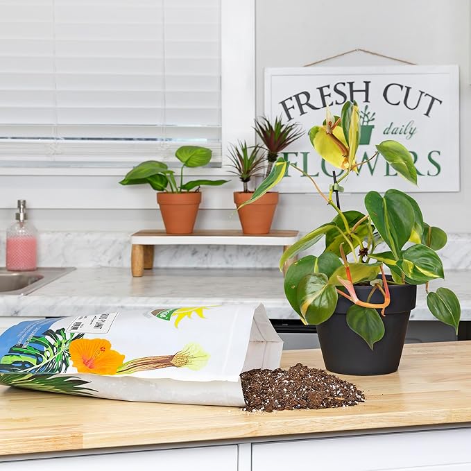 Aroid Plant Potting Soil Mix (8 Quarts), for Pothos Devil's Ivy, ZZ Plant, Chinese Evergreen, Dumb Cane, Philodendron, Syngonium, Alocasia, Colocasia Etc.