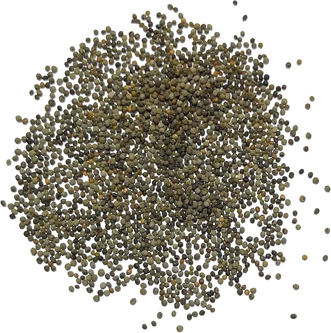 Seed Needs Mixed California Poppy Seeds for Planting - Heirloom & Open Pollinated Tender Perennial - Colorful Mixture of Flowers to Plant a Butterfly Garden (2 Packs)