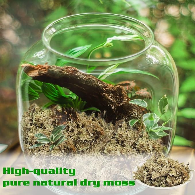 Halatool Sphagnum Moss for Potted Plants, Natural Swamp Moss for Orchid Succulent Carnivorous, Dried Long Fiber Sphagnum Moss for Moss Pole, 100% Natural Moss Bulk (10oz, 14QT, 284G)