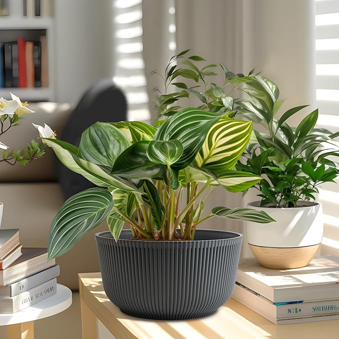 T4U 10 Inch Self Watering Planters, Plant Pots for Indoor and Outdoor Use, Home Decor Flower Pots, Plastic Planters with Drainage Hole & Plug for Plants, Flowers, Cactus, Garden, Set of 2, Gray