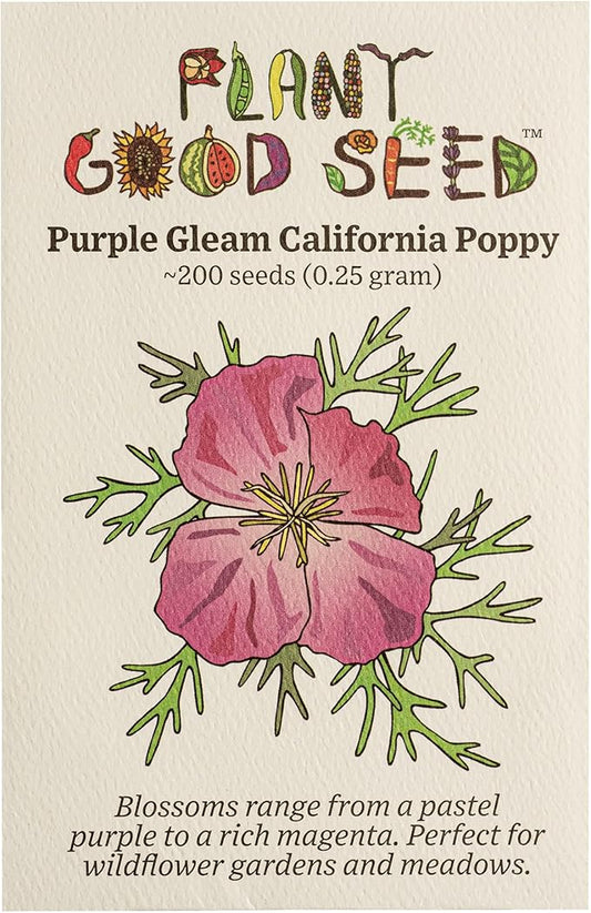 Plant Good Seed Purple Gleam California Poppy Seeds - Heirloom Seeds for Planting Flowers - Gardening Supplies, Herb Garden, Wildflower, Flower Seeds to Plant Outside - Non-GMO, from USA