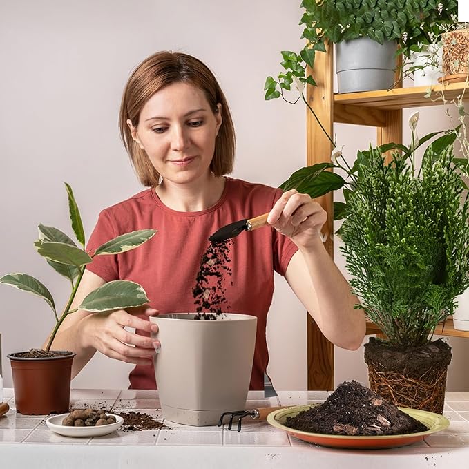 Bonsai Soil Mix 4qt Ready to Use, Organic Bonsai Tree Soil Fits for Small Bonsai Pot, Suitable for Bonsai Seedling, Repotting, or Bonsai Starter Kit