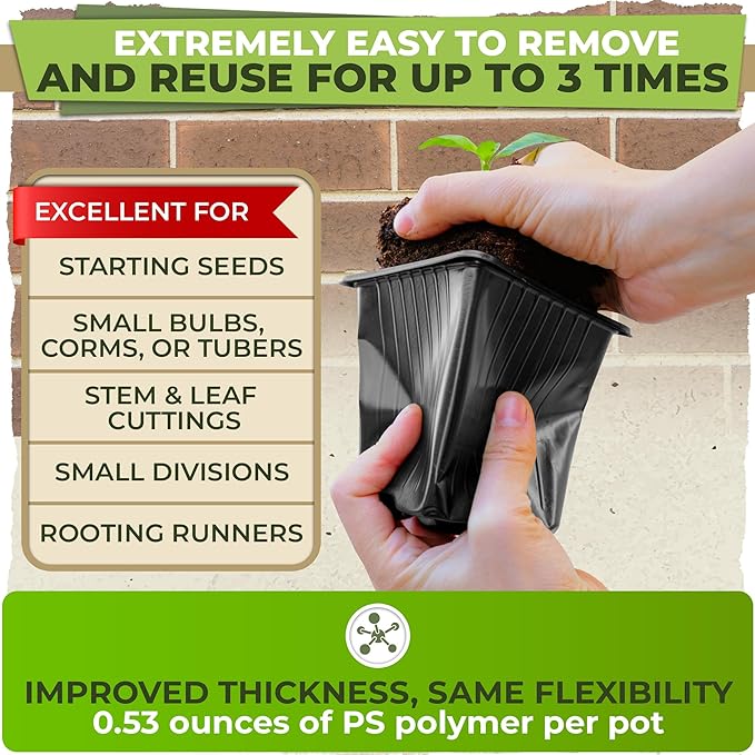 CARPATHEN 60Pack Square Nursery Pots - 3.8 Inch Reinforced Nursery Pots for Plants with Drainage - Reusable Seed Starter Pots for Flowers, Vegetables - Seedling Pots Kit with 10 Plastic Reusable Tags