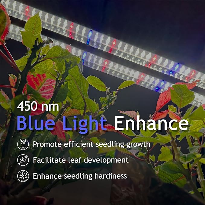 DYMOND BoostGro LED Seed Starter Grow Light Full Spectrum Linkable 5000k Daylight + 660nm Red + 450nm Blue Indoor Plant Lighting Fixture (2 FT, Black)