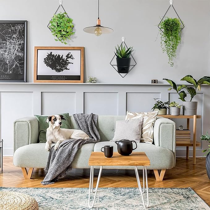 3 Sets of Wall Planters for Indoor Plants, Hanging Wall Planter with Black Metal Holder, Geometric Self Watering Wall Flower Pots, Wall Mounted Succulent Planter, 5" Black Plant Pot