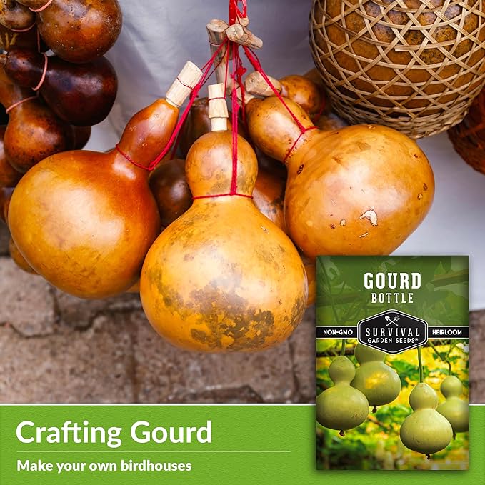 Bottle Gourd Seed for Planting - 3 Packets with Instructions to Plant & Grow Birdhouse or Calabash Gourds in Your Home Vegetable Garden - Non-GMO Heirloom Variety Seed - Survival Garden Seeds