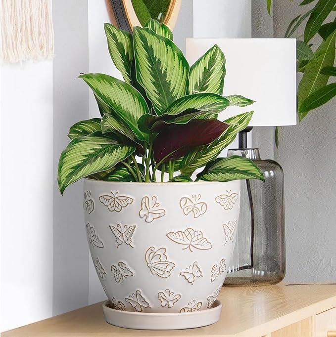 Ceramic Planter Pot - 6 Inch Plant Pot with Drainage Hole and Saucer, Succulent Round Flower Pot for Plants Indoor Outdoor, White