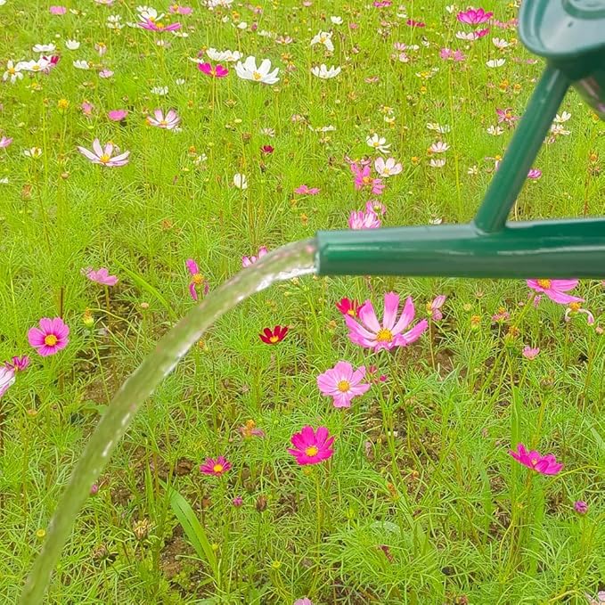 Metal Watering Can for Outdoor and Indoor Plants, Watering Can Decor, 1 Gallon (NewGreen)