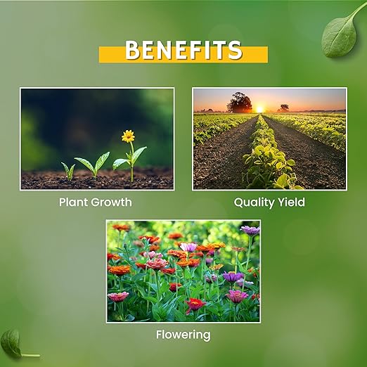 Katyayani Boron 20% (EDTA) Micronutrient Fertilizer to Correct Boron Deficiency in Soils and Crops (400gm x 1) (0.8lb)