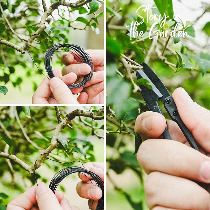 15-Piece Bonsai Tree Kit, Bonsai Tool Set, Bonsai Starter Kit, Carbon Steel Scissors, Cutter Shears, Rake with Spatula, Perfect Gardening Trimming Pruning Tools