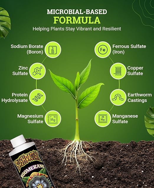 Fox Farm Bushdoctor Boomerang Fertilizer - for Fast Recovery of Stressed Plants, Root Health, Solubilized Nutrition - Perfect for Hydroponic & Soil Application- NPK 2-0.2-0.3, (Pint)