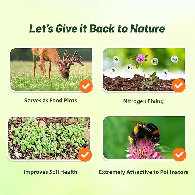 Outsidepride Perennial Red Clover Seeds - 1/4 lbs. Self-Seeding, Nitrocoated, Inoculated Clover Seeds for Lawn, Yard, Forage, Pasture, Hay, Nitrogen Fixation, Soil Improvement & Crop Rotation Programs