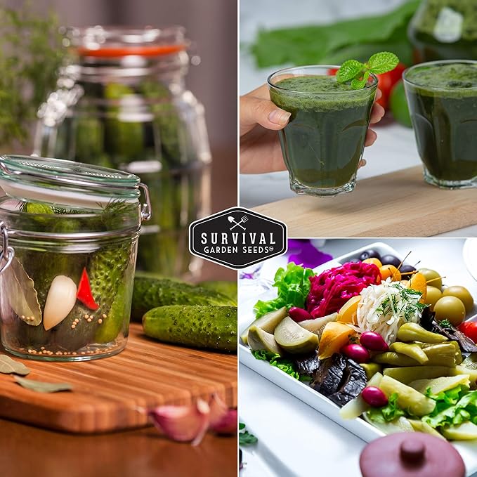 1 Pack Spacemaster Cucumber Seed for Planting - Packet with Instructions to Grow Container Friendly Cucumbers in Your Home Vegetable Garden - Non-GMO Heirloom Variety - Survival Garden Seeds