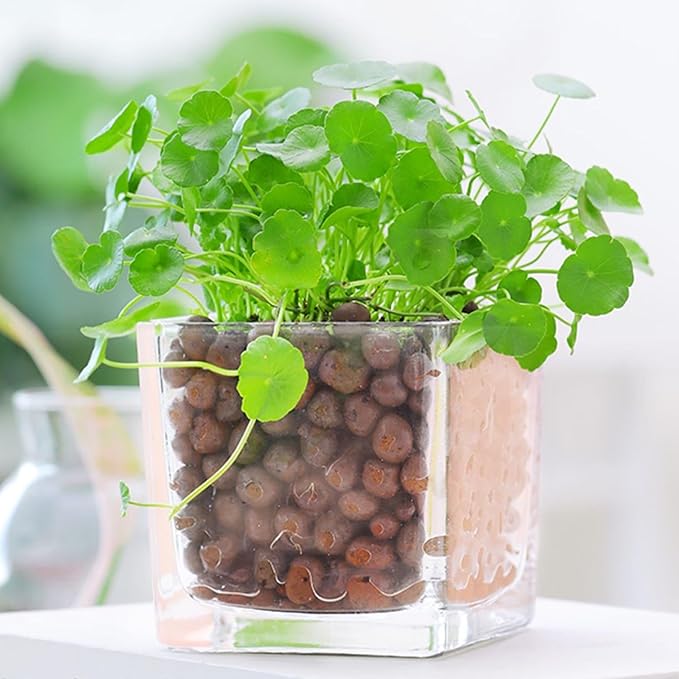 D'vine Dev Ceramic Planter Filler Balls 2 Cu. Ft, Expanded Porous Clay Pebbles Beads for Hydroponic, Gardening, Orchids, 97-F-6